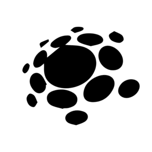 SIAX Computing Solution logo